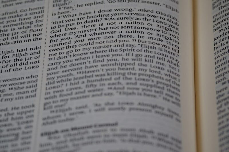 Berita Terbaru dan Perkembangan Menarik di Sulawesi Selatan