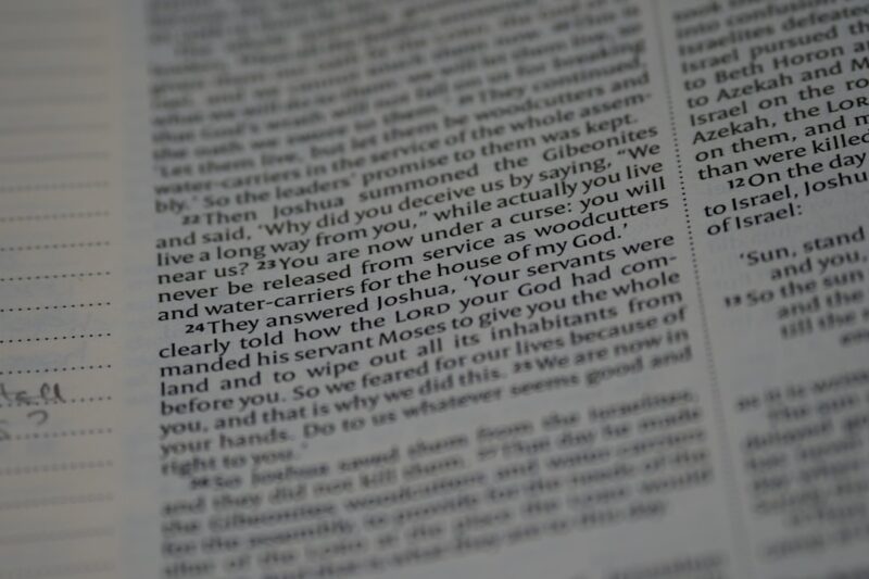 Berita Terkini di Sulsel: Dinamika dan Perkembangan Terbaru