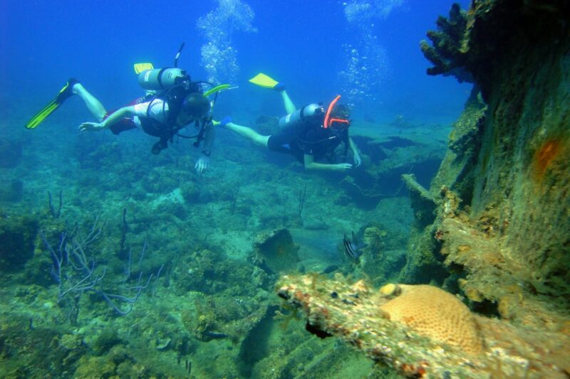 Tempat Wisata Akuarium Terbaik di Indonesia yang Harus Anda Kunjungi