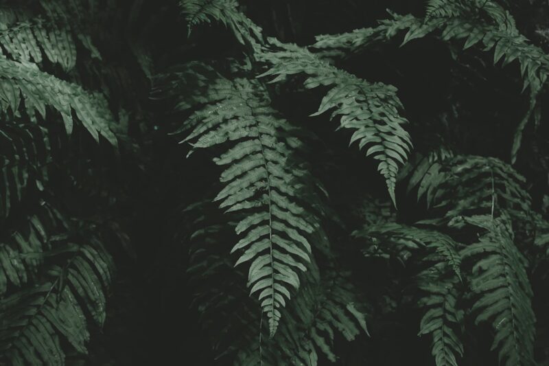 Toto DV188: Inovasi dalam Kenyamanan Kamar Mandi