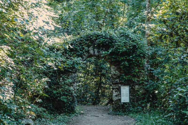 Strategi Jitu Bermain Slot Dana DV188 untuk Pemula